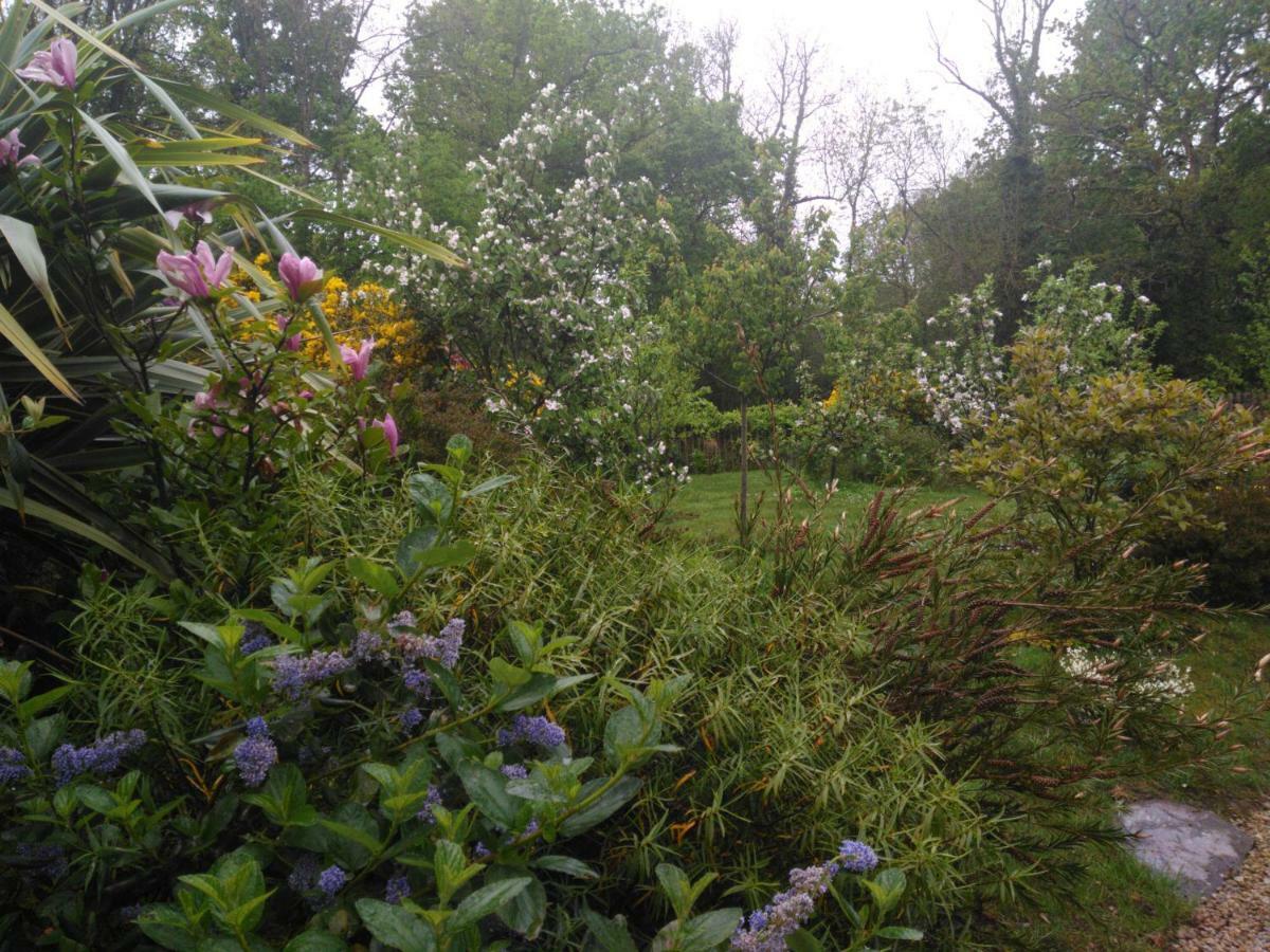 Les Muscaris Bed & Breakfast Le Minihic-sur-Rance Bagian luar foto